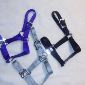 A close up of three different colored horse halters