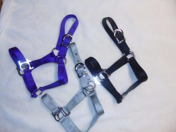 A close up of three different colored horse halters