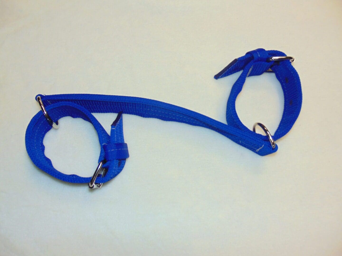 A blue harness with two metal rings on it.