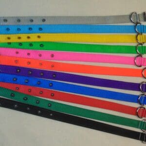 A group of different colored dog collars.