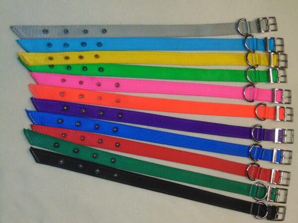 A group of different colored dog collars.