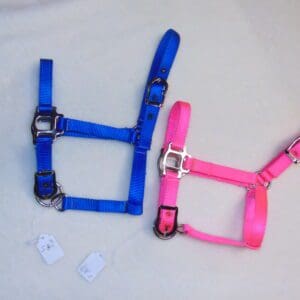 A blue and pink horse halter sitting on top of a white surface.