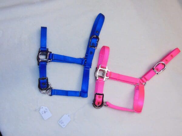 A blue and pink horse halter sitting on top of a white surface.