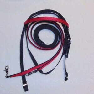 A red and black leash is laying on the floor