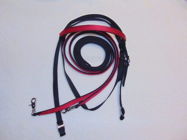 A red and black leash is laying on the floor