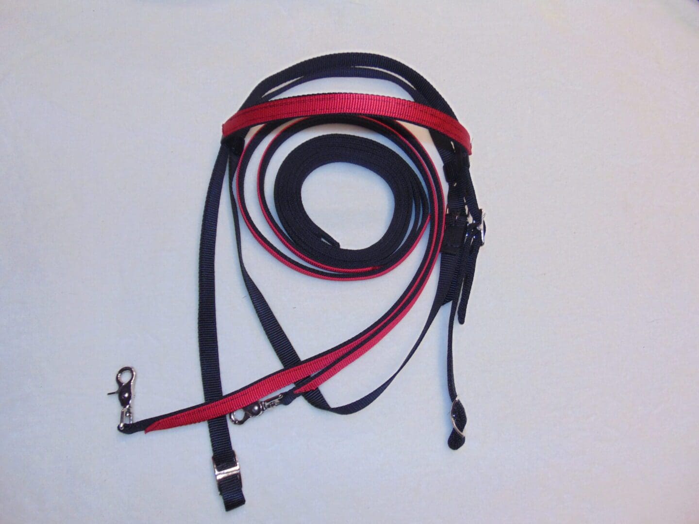 A red and black leash is laying on the floor