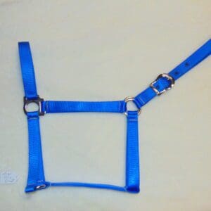 A blue harness with metal hardware on top of it.