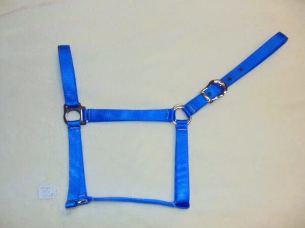 A blue harness with metal hardware on top of it.