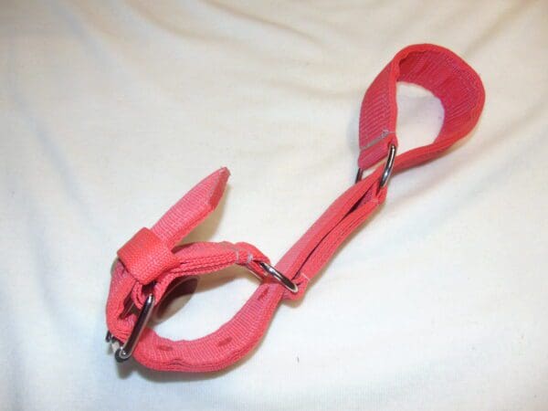 A pink harness is laying on the bed