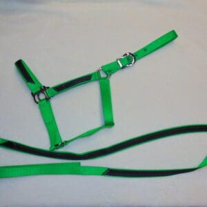 A green harness and leash laying on top of the floor.