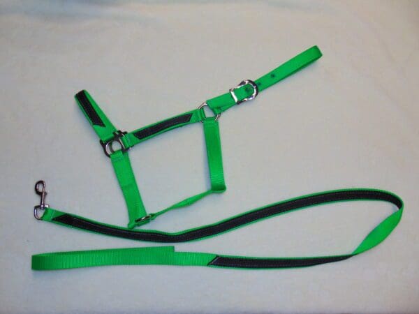 A green harness and leash laying on top of the floor.