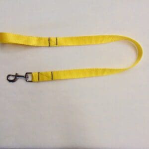 A yellow leash with black metal hardware.