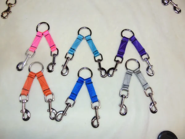 A group of six different colored key chains.