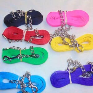 A group of eight different colored leashes.